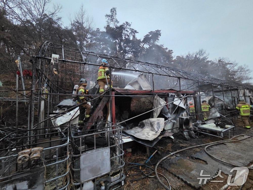 본문 이미지 - 19일 오전 5시40분쯤 대구 달성군 다사읍의 한 비닐하우스에서 불이 나 소방 당국이 진화하고 있다.(대구소방안전본부 제공. 재판매 및 DB금지)