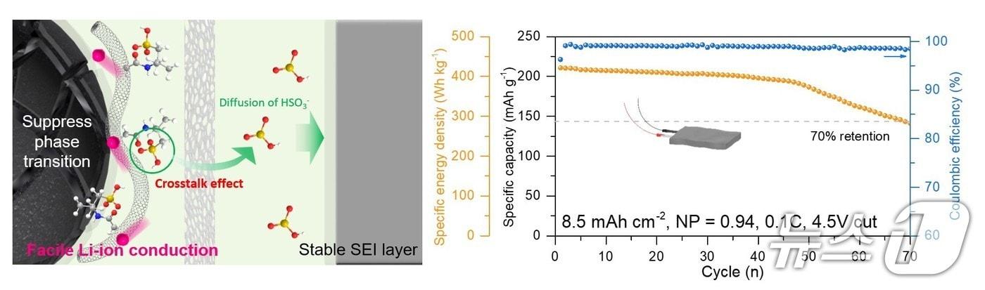 본문 이미지 - 포스텍과 서울대 연구팀의 배터리 연구 개념도.(포스텍 제공. 재판매 및 DB금지)/뉴스1