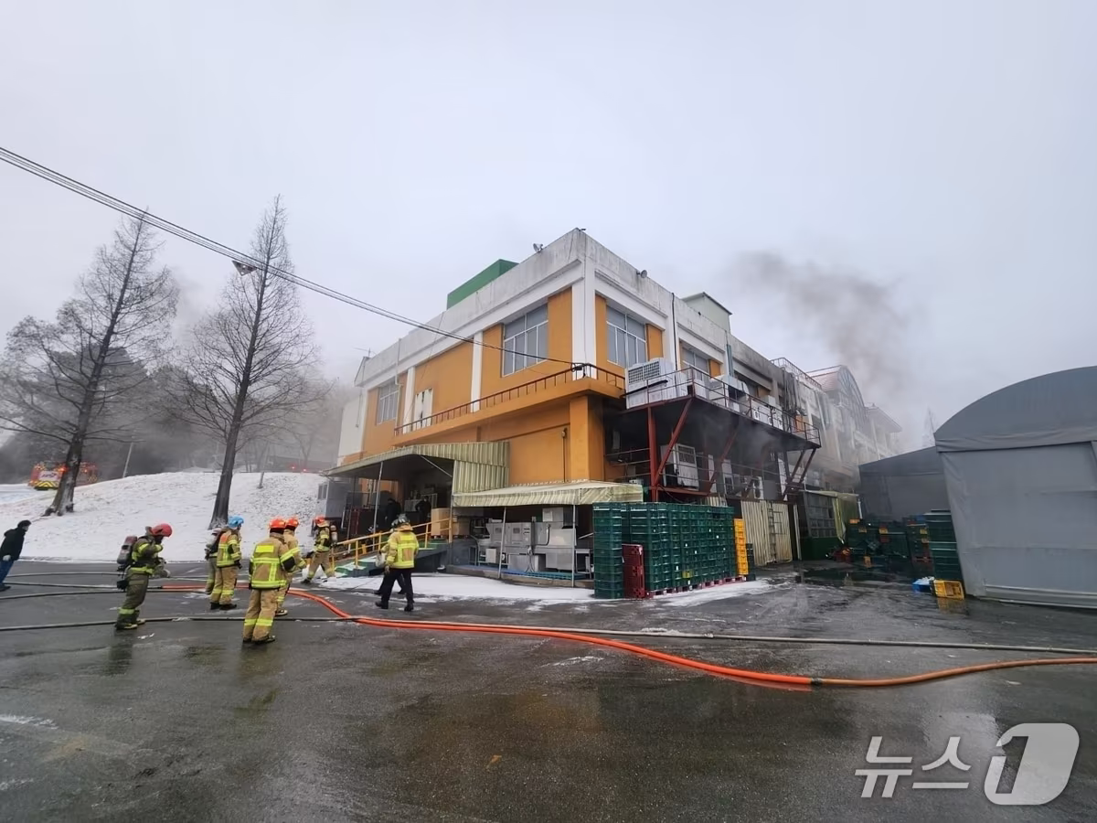 본문 이미지 - 서산 고북면 정자리 식품공장 화재 현장. (서산시 제공, 재판매 및 DB금지) / 뉴스1