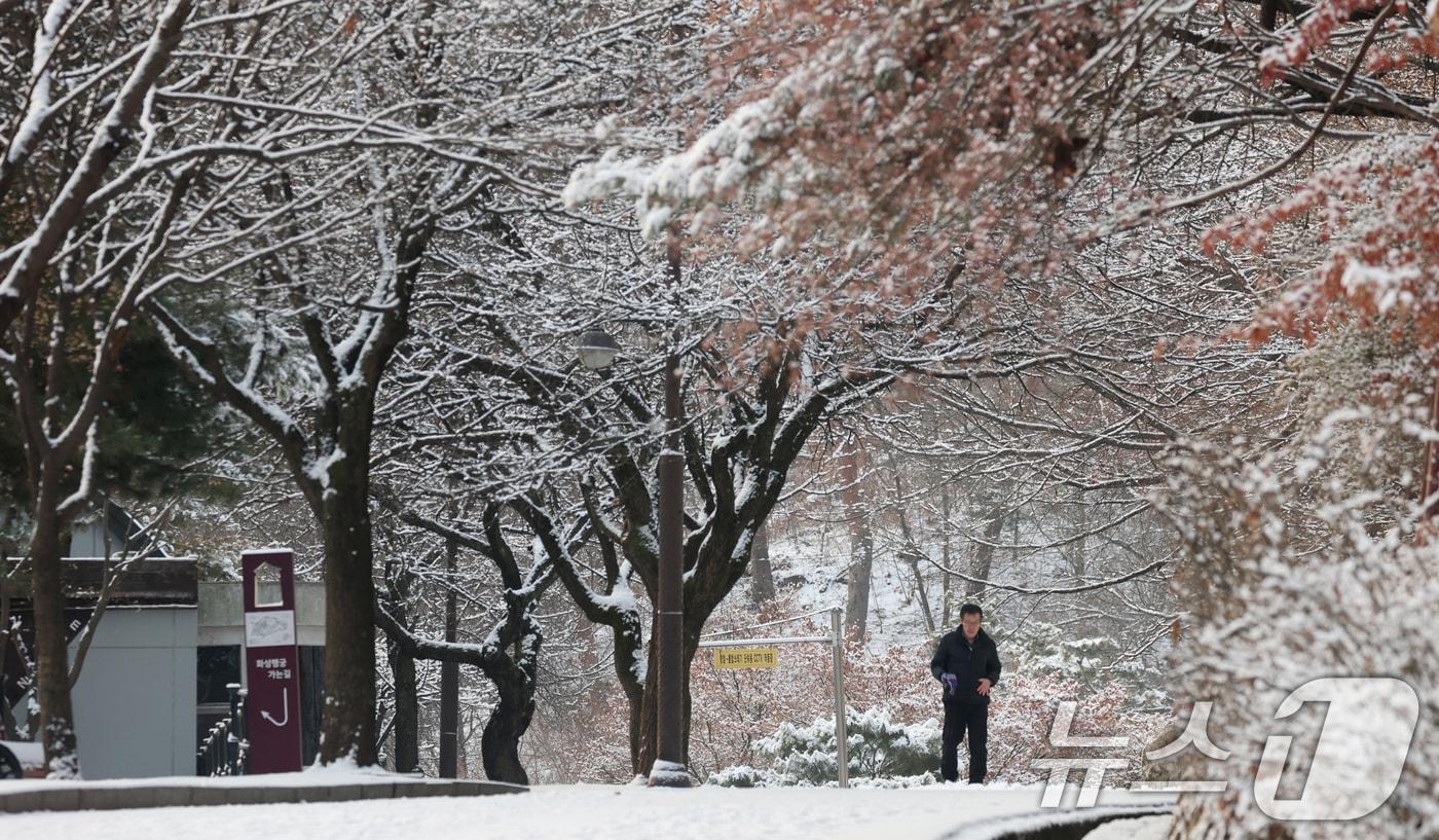 본문 이미지 - 간밤에 눈이 내린 날 산책로에서 시민들이 산책을 하고 있다. 2026.1.19/뉴스1 ⓒ News1 김영운 기자