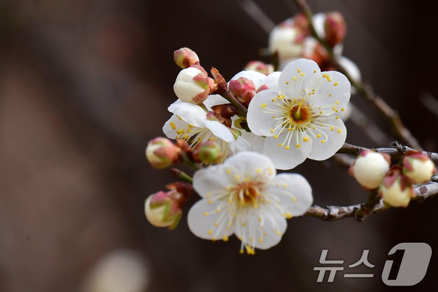 본문 이미지 - 자료사진.  ⓒ News1 최창호 기자