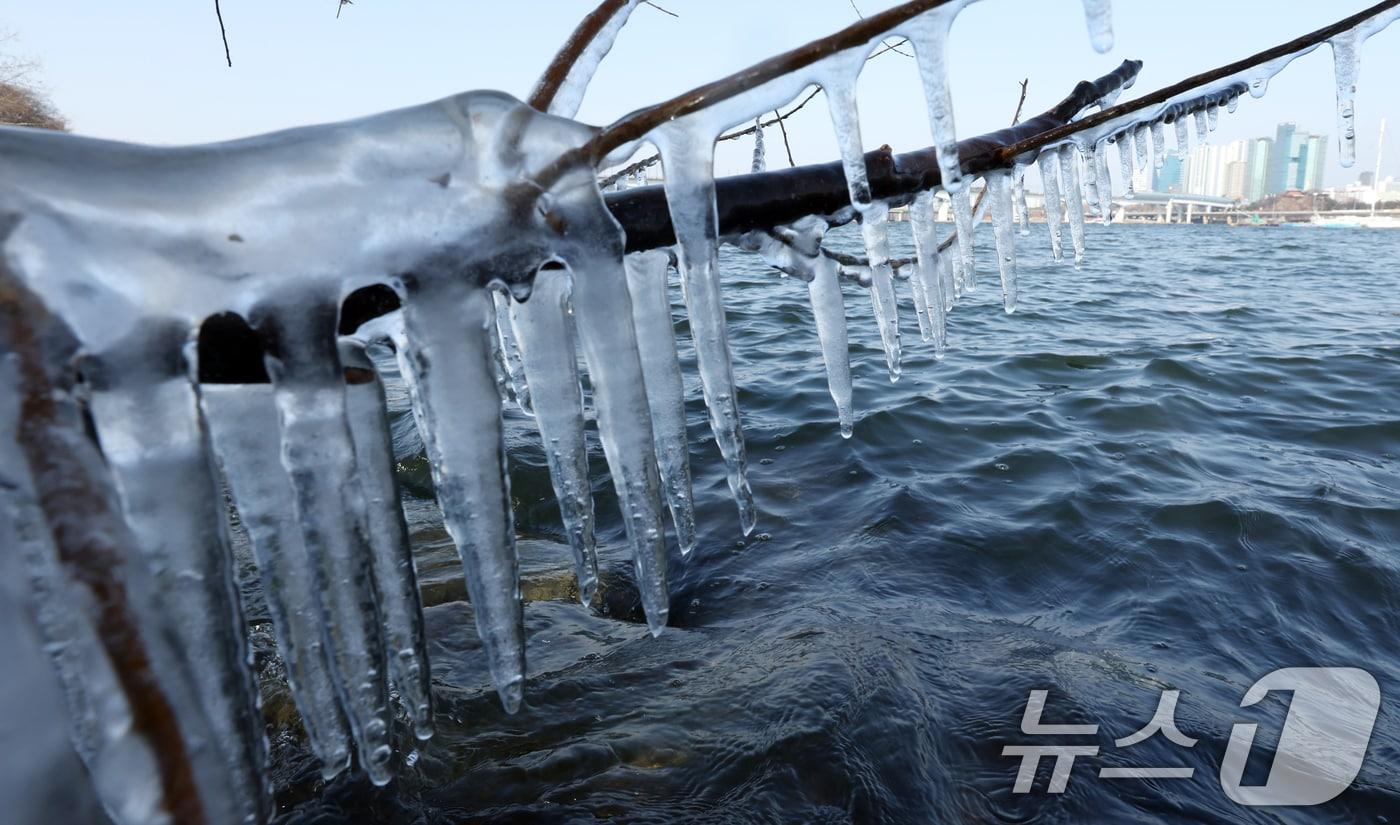본문 이미지 - 영하권의 낮 기온을 보인  지난 19일 서울시 영등포구 한강변 고드름..ⓒ News1 김명섭 기자