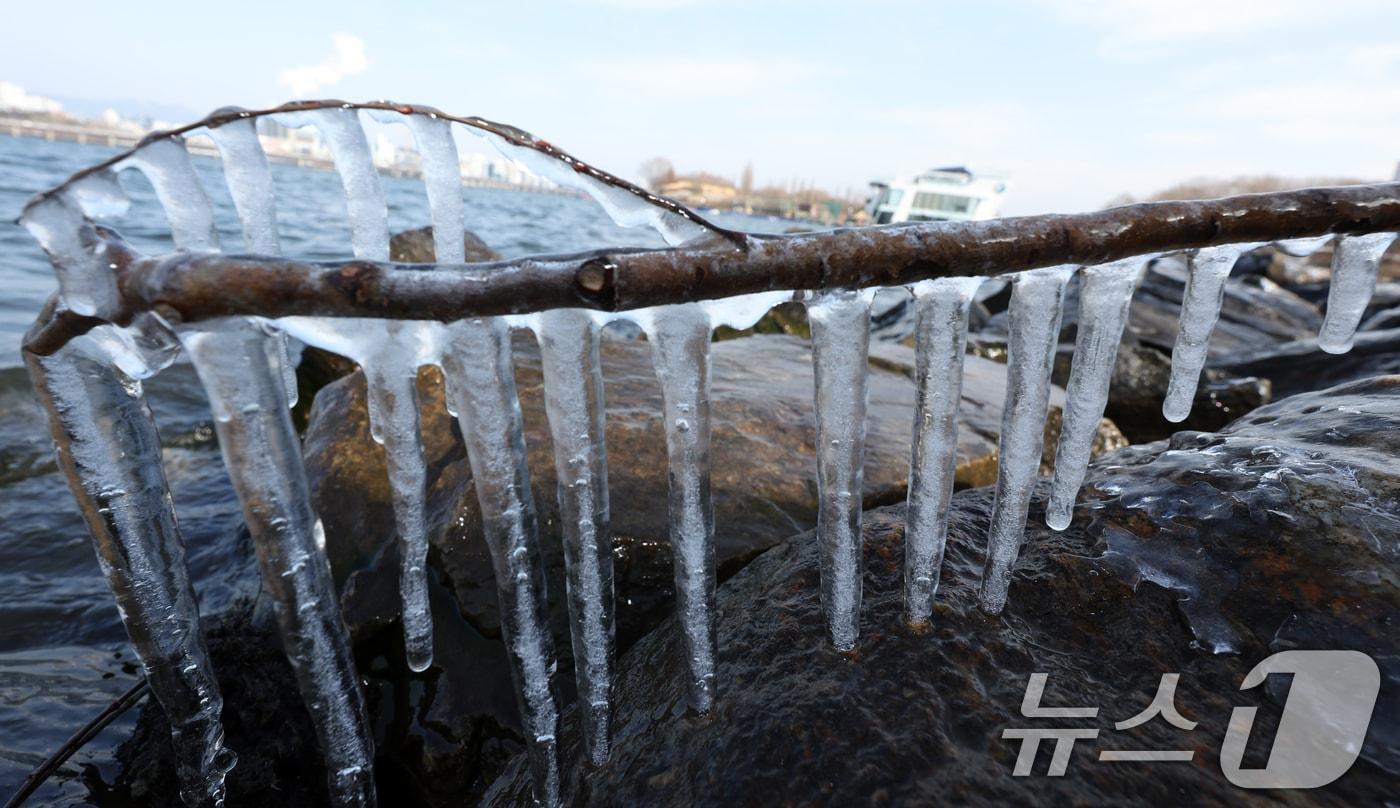 본문 이미지 - 영하권의 낮 기온을 보인 19일 서울시 영등포구 한강변에 고드름이 열려 있다 한편 기상청은 대한인 20일 서울 기온이 영하 13도까지 곤두박질해 올겨울 들어 가장 낮은 기온을 보이는 등 이번 주 내내 긴 한파가 이어질 것으로 예보했다. 2026.1.19/뉴스1 ⓒ News1 김명섭 기자