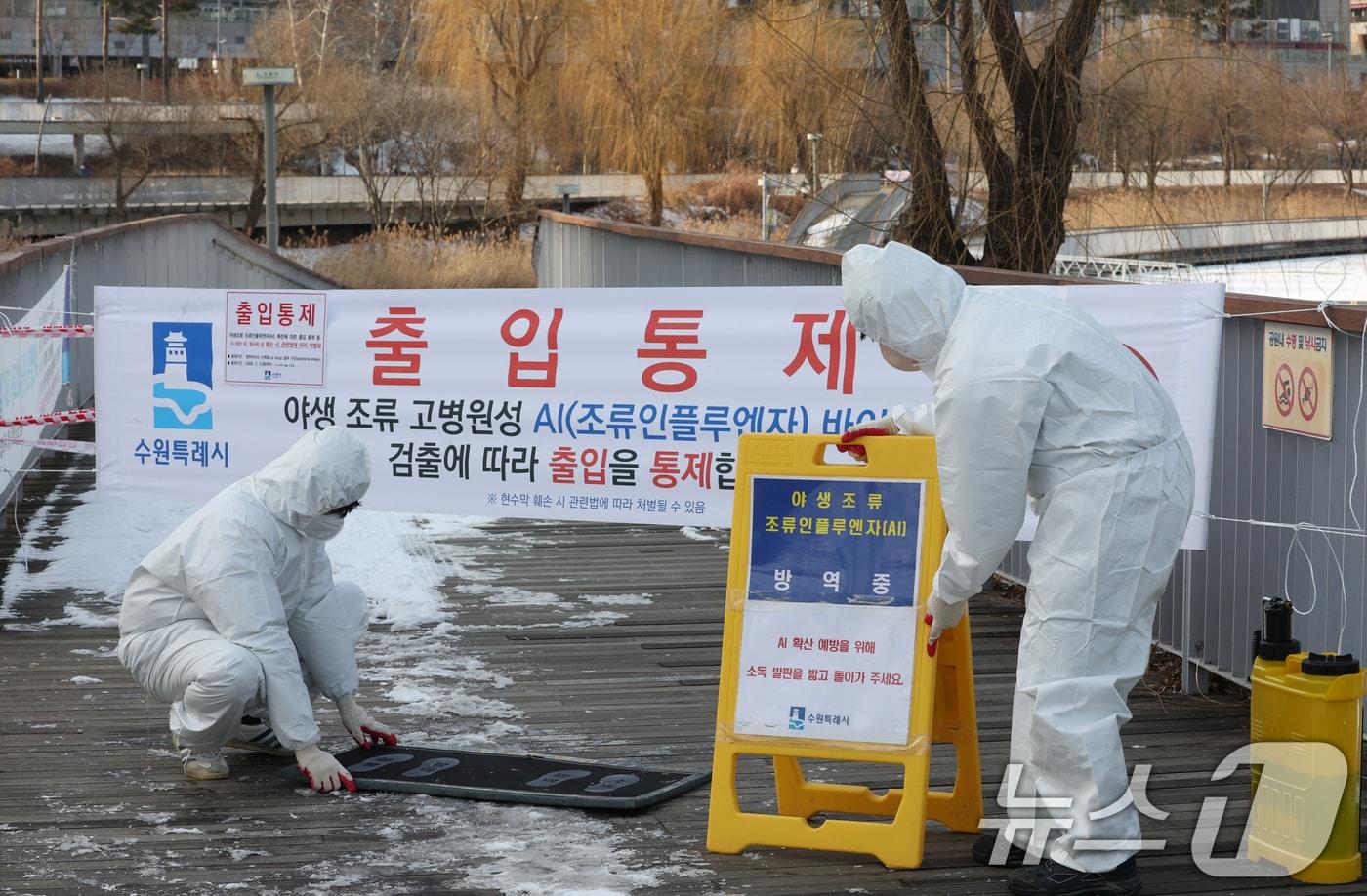 본문 이미지 - 뉴스1 자료사진 ⓒ 뉴스1 DB