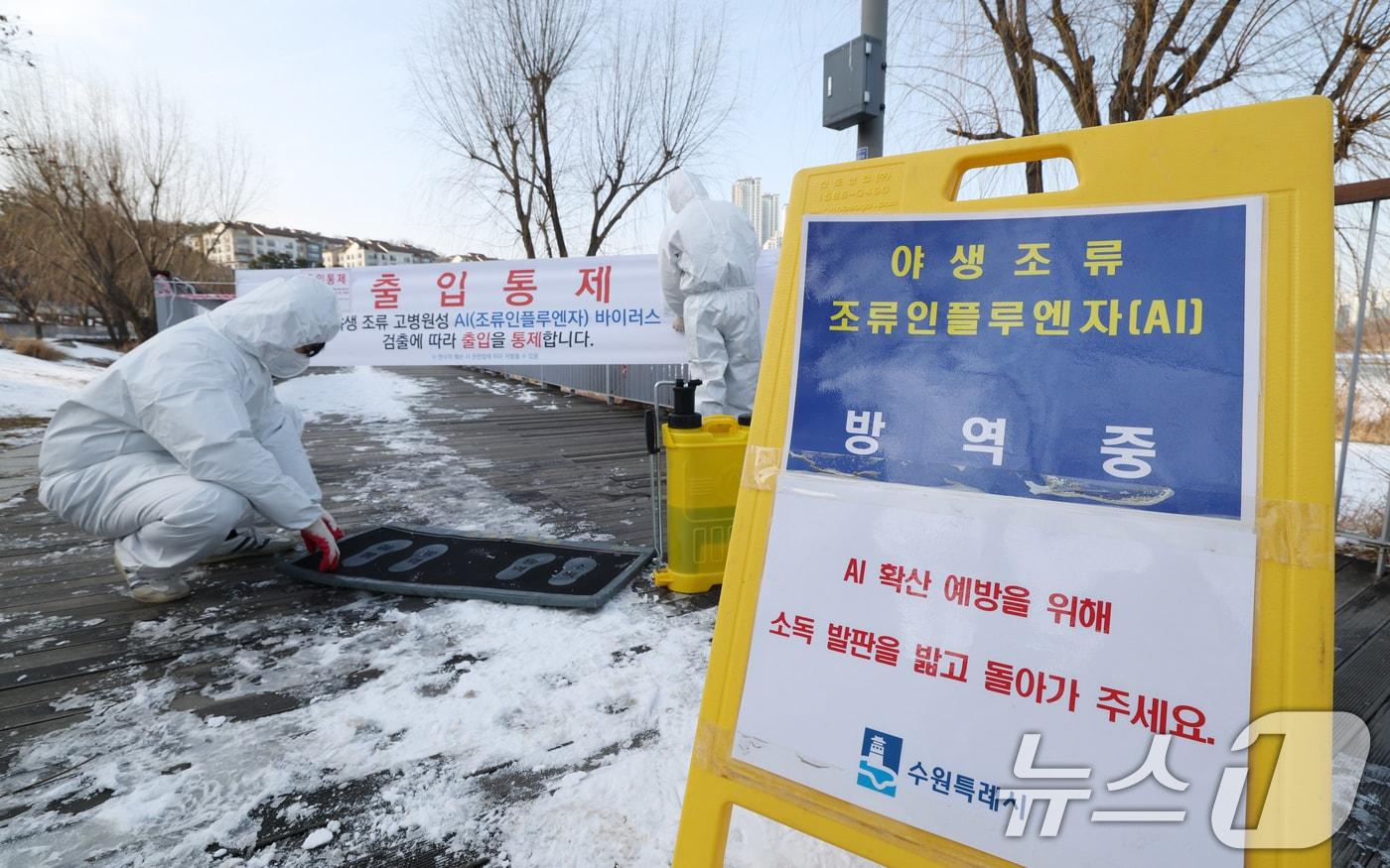 본문 이미지 - AI 발생 가금 농가 출입 통제 (사진은 기사 내용과 무관함) / 뉴스1 ⓒ News1