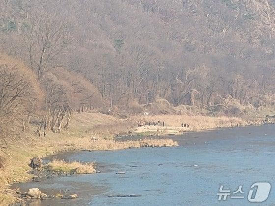 본문 이미지 - 충북 영동 천태산에서 실종된 80대 남성 추정 시신의 발견 모습./뉴스1