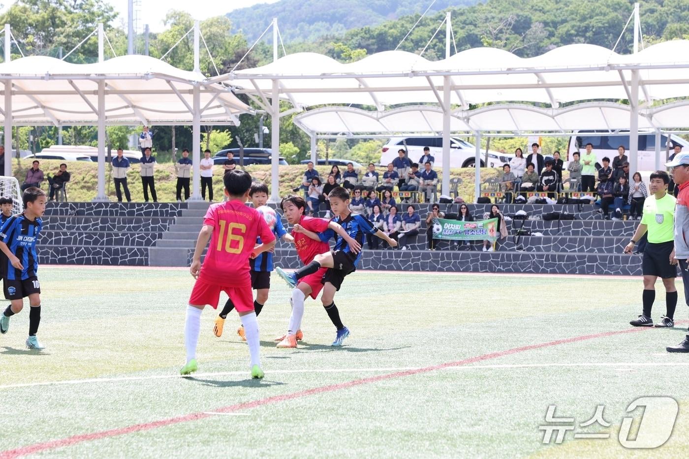 본문 이미지 - 충북 진천 생거진천배 유소년 축구 페스티벌 모습.(진천군 제공, 재판매 및 DB금지)/뉴스1