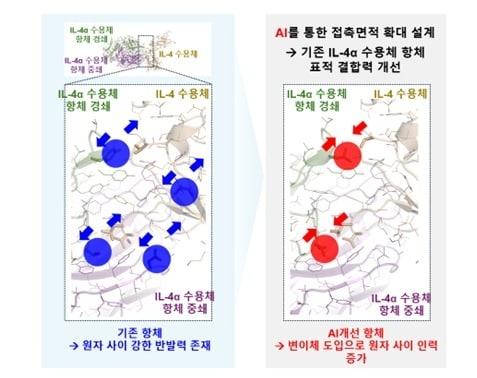 본문 이미지 - AI 모델링을 통한 항체의 표적 결합력 개선. (지아이이노베이션 제공)
