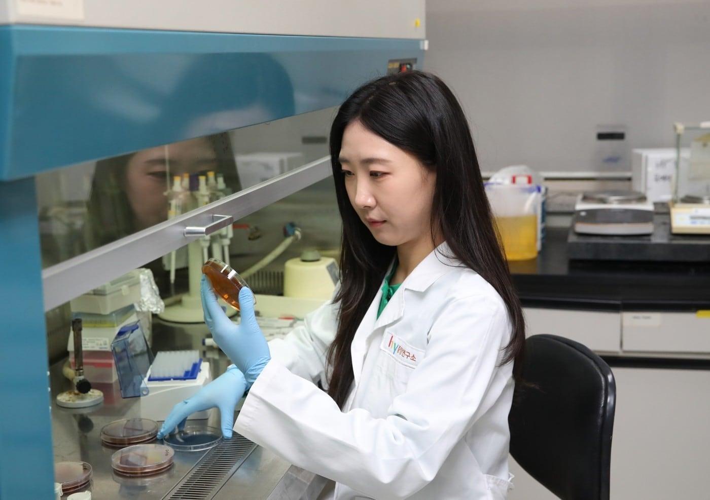 본문 이미지 - hy 자체 개발 프로바이오틱스 ‘HY7017’ 개별인정형 기능성 원료 인정.(hy 제공)