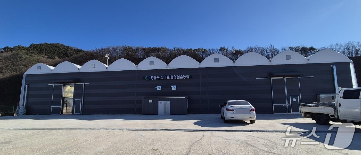 본문 이미지 - 영동군  양산면에  조성한 '스마트팜 경영실습임대농장'  /뉴스1