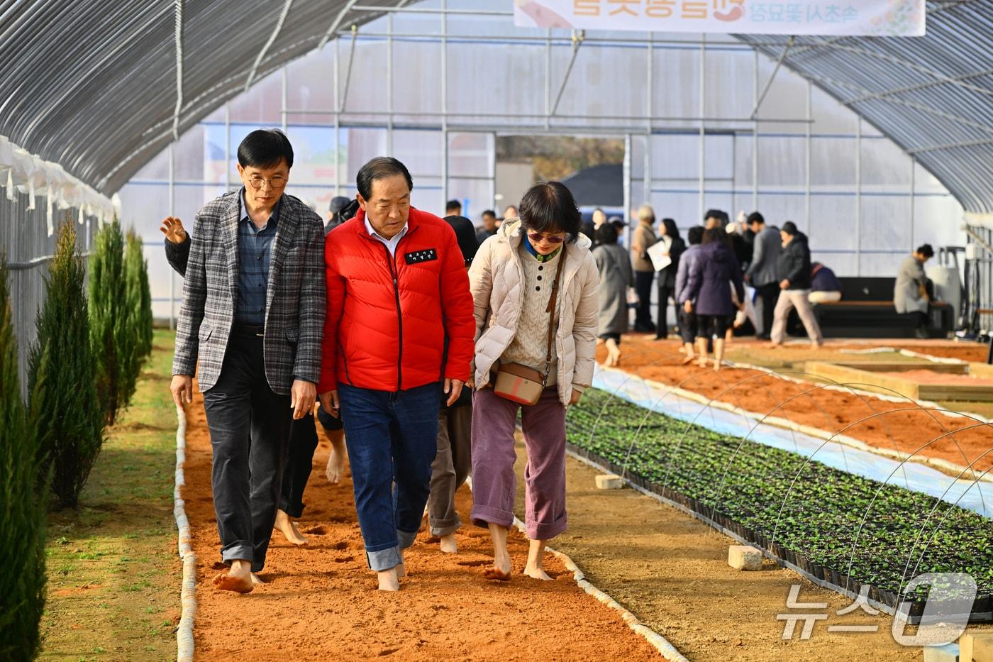 본문 이미지 - 강원 속초시 꽃묘장 맨발황톳길 걷고 있는 이병선 시장과 관계자.(속초시 제공, 재판매 및 DB 금지) 2026.1.20/뉴스1
