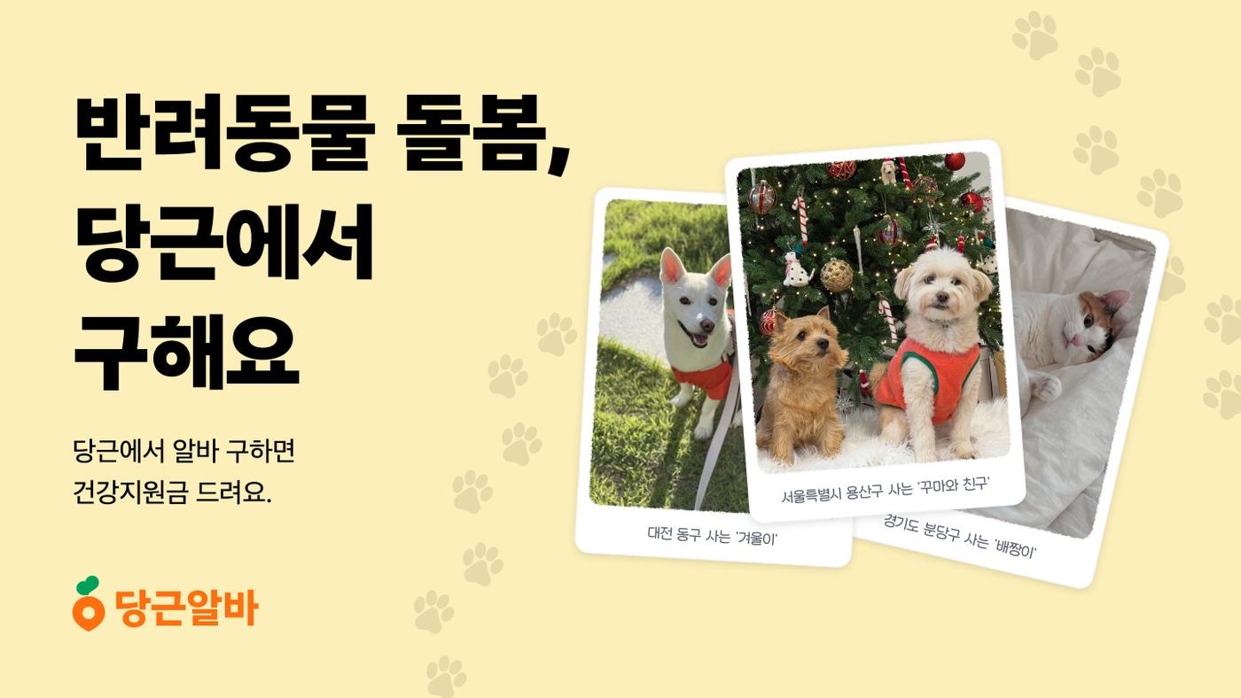 본문 이미지 - (당근 제공)