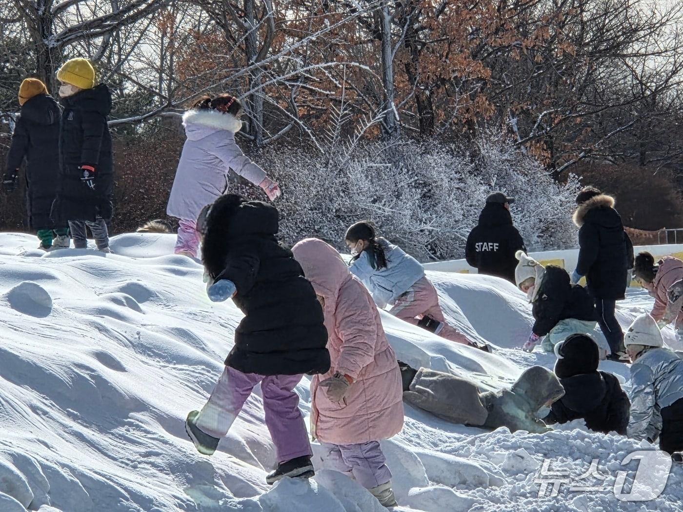 본문 이미지 - 본격적인 한파가 시작된 20일 대전 유성구 연구단지종합운동장 눈썰매장에서 아이들이 눈밭을 뒹굴며 놀고 있다. ⓒ 뉴스1 김종서 기자