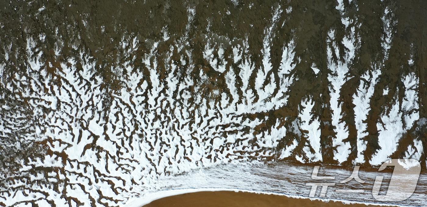 본문 이미지 - '1년 중 가장 춥다'는 절기상 대한(大寒)인 20일 경기 화성시 서신면 궁평항 인근의 갯벌이 얼어있다. 기상청은 이번 한파가 21~22일까지 이어지며 절정에 달할 가능성이 크다고 보고 있다. 2026.1.20/뉴스1 ⓒ News1 김영운 기자