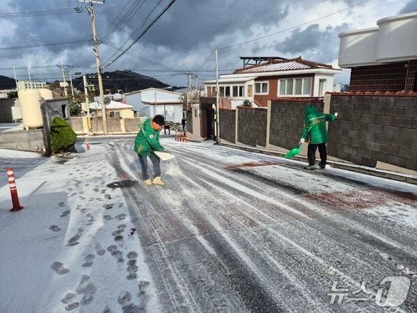 본문 이미지 - 자율방제단 제설작업(제주도 제공. 재판매 및 DB금지)/뉴스1