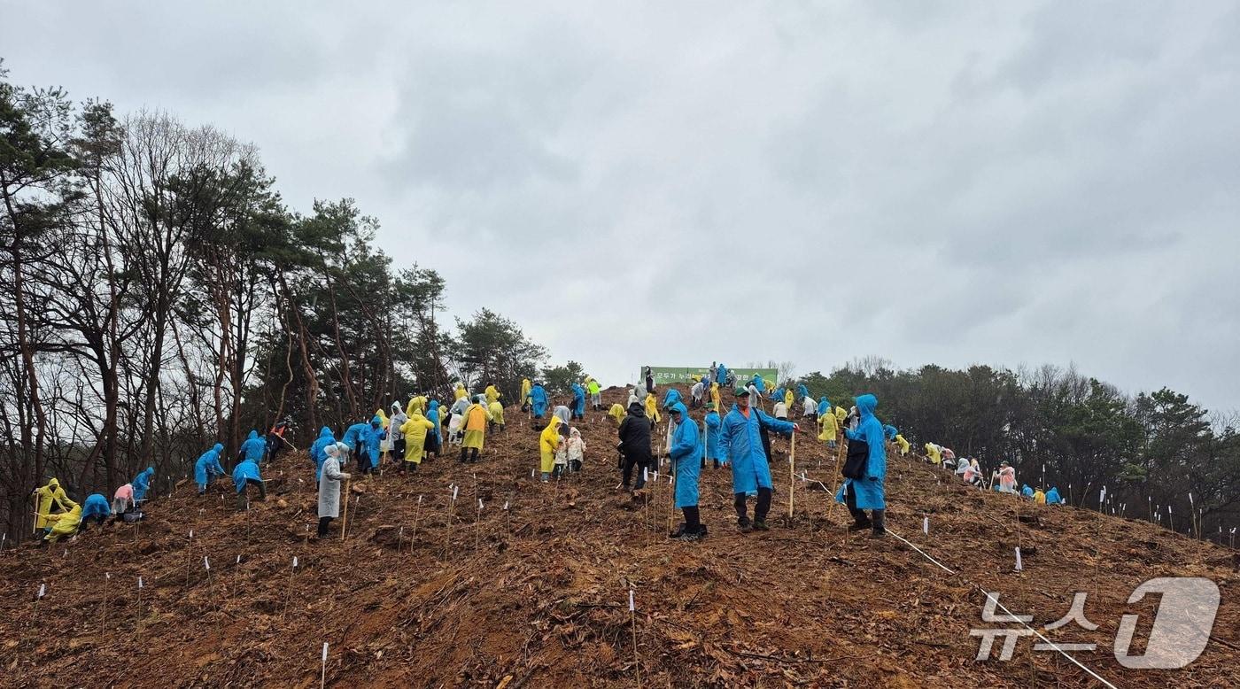 본문 이미지 - 2025년 공주시에서 열린 식목일 행사에서 참가자들이 나무를 심고 있다.(산림청 제공.재판매 및 DB금지)/뉴스1