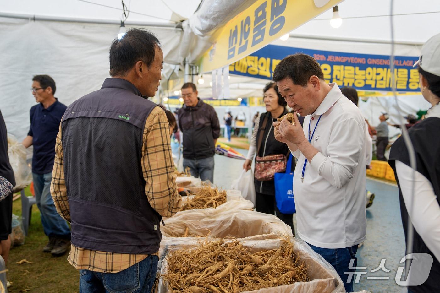 본문 이미지 - 2025년 증평인삼골 축제 현장 모습.(증평군 제공, 재판매 및 DB금지)/뉴스1