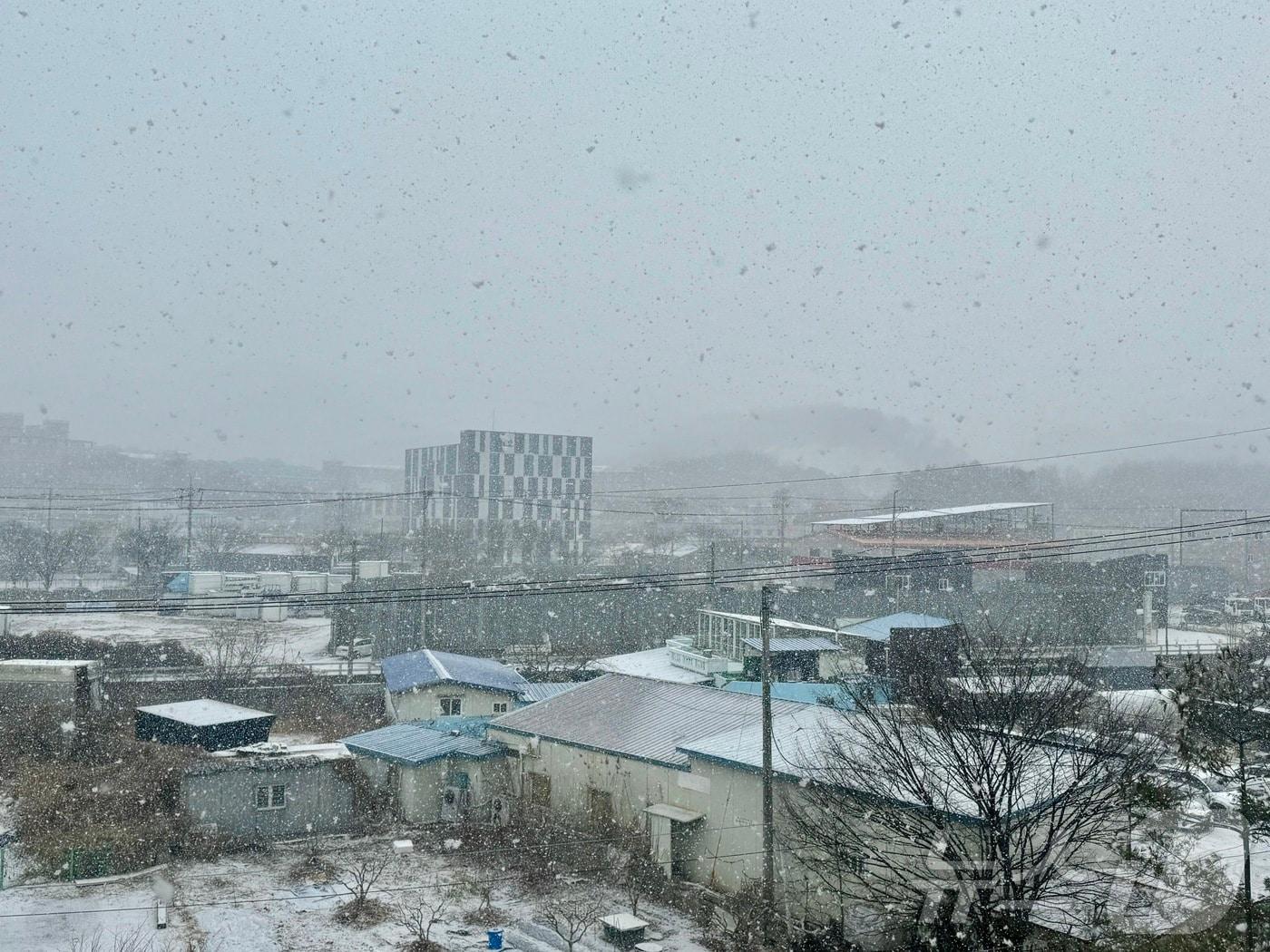 본문 이미지 - 21일 오전 광주 광산구 소촌동 일대에 눈이 내리고 있다. ⓒ News1 이승현 기자