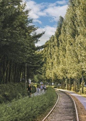 본문 이미지 - 경춘선숲길을 산책하는 시민들(노원구 제공)