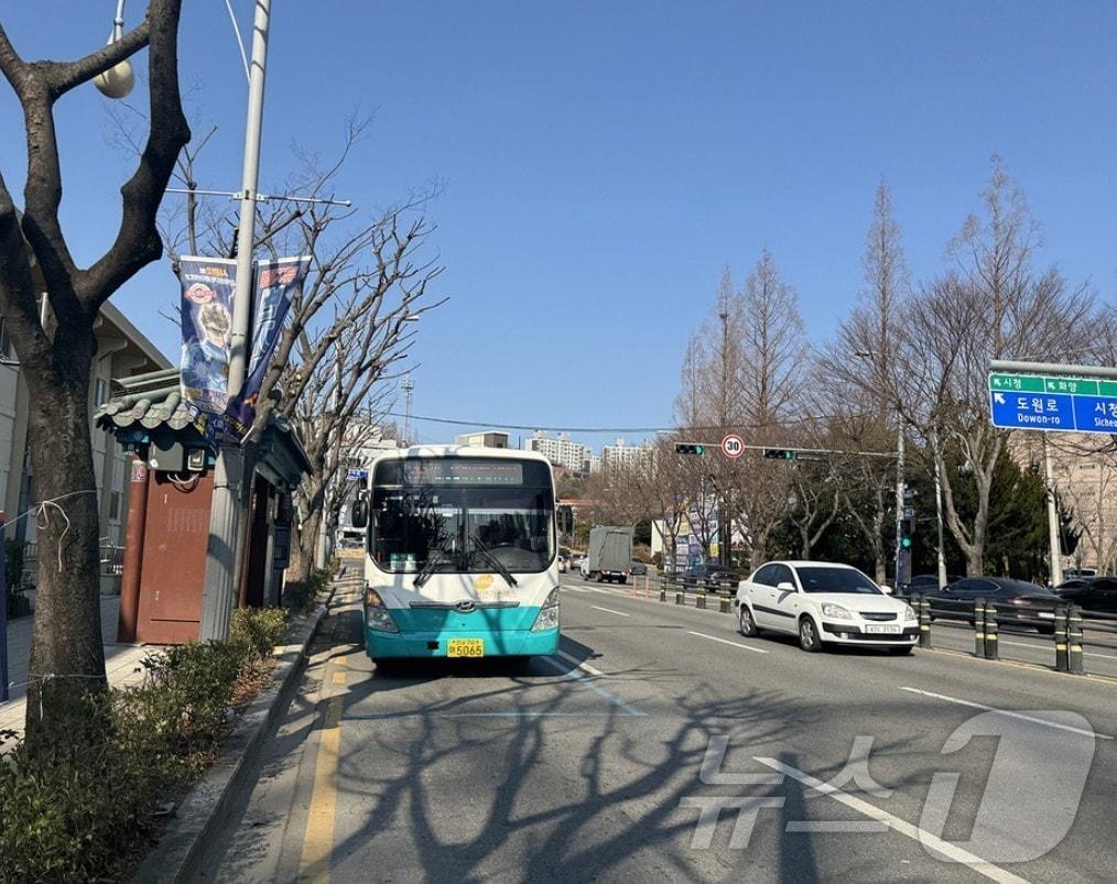 본문 이미지 - 여수 시내버스. (여수시 제공. 재판매 및 DB금지) ⓒ News1