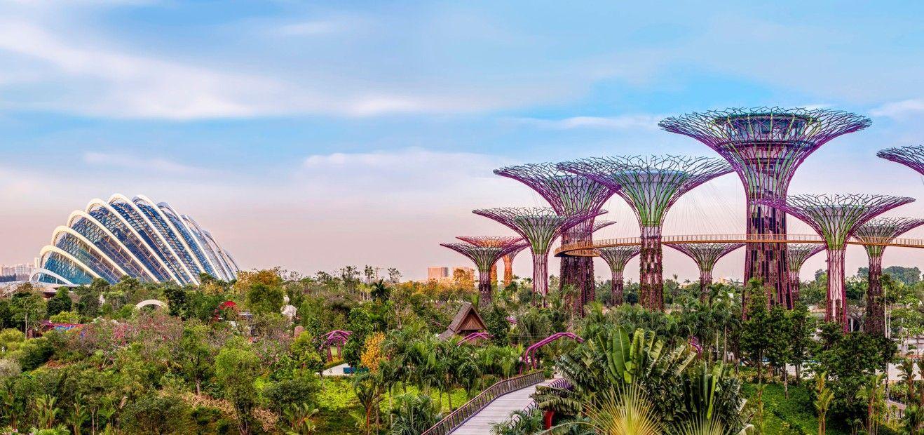 본문 이미지 - 싱가포르 가든스 바이 더 베이 모습.(대우건설 제공)뉴스1ⓒ news1