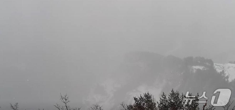 본문 이미지 - 울릉도 내수전전망대에 설치된 CCTV 화면 (실시간 웹방송 갈무리. 재판매 및 DB금지)