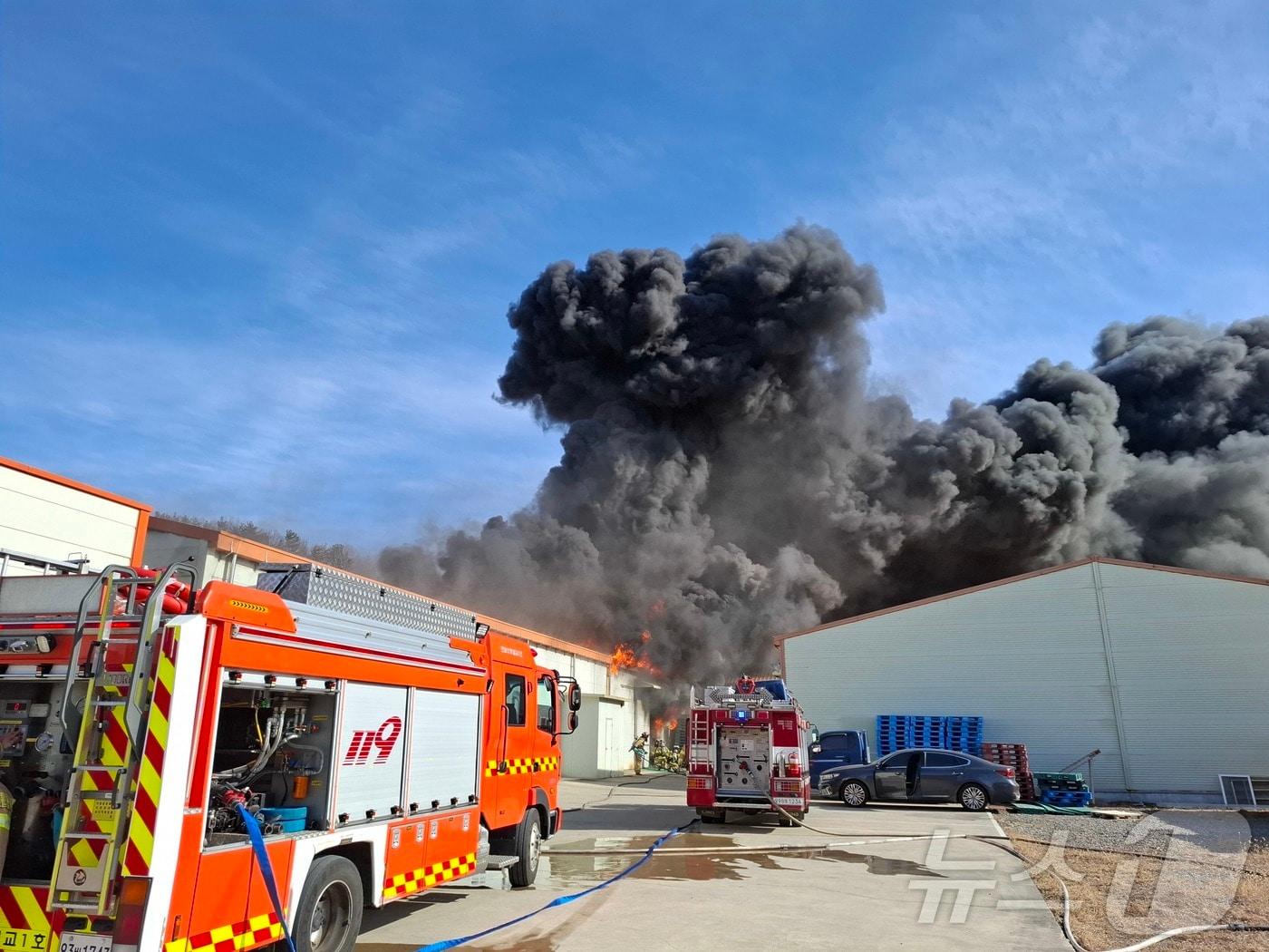 본문 이미지 - 20일 오후 1시 34분쯤 전남 고흥군 동강면 한 수산물 가공공장에서 화재가 발생해 소방당국이 진화하고 있다. (전남소방본부 제공. 재판매 및 DB금지) ⓒ News1
