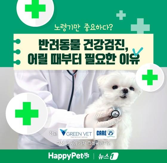 본문 이미지 - ⓒ News1 김지영 디자이너