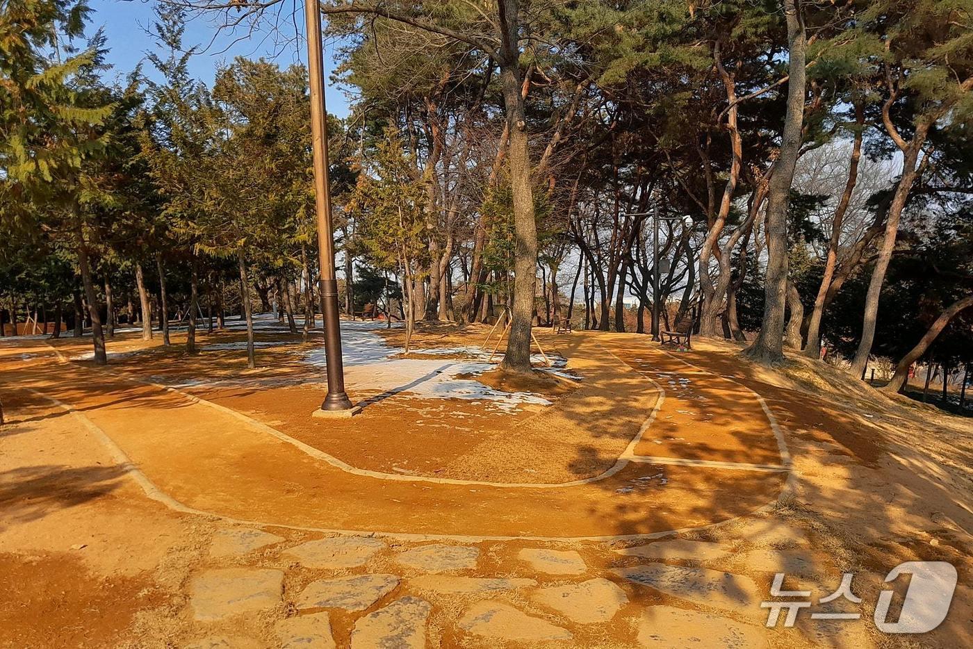 본문 이미지 - 시민공원 내 맨발걷기길(논산시 제공.재판매 및 DB금지)/뉴스1