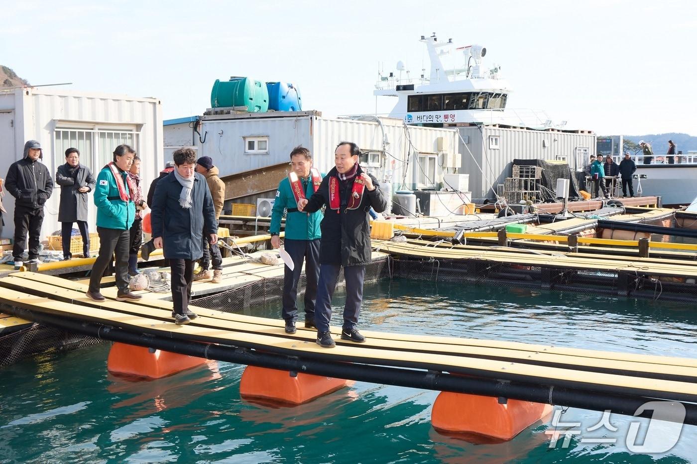 본문 이미지 - 천영기 시장이 가두리 양식장 시설을 둘러보고 있다.(통영시 제공. 재판매 및 DB금지)