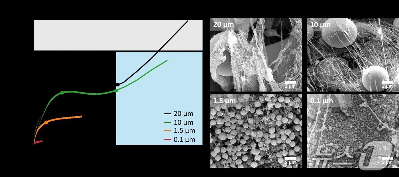 본문 이미지 - 입자 크기에 따라 PTFE 바인더가 받는 응력과 변형 거동이 달라짐을 보여주는 시뮬레이션 결과(왼쪽)와 시뮬레이션 결과를 전자현미경으로 검증한 이미지(오른쪽).(아주대학교 제공. 재판매 및 DB금지)
