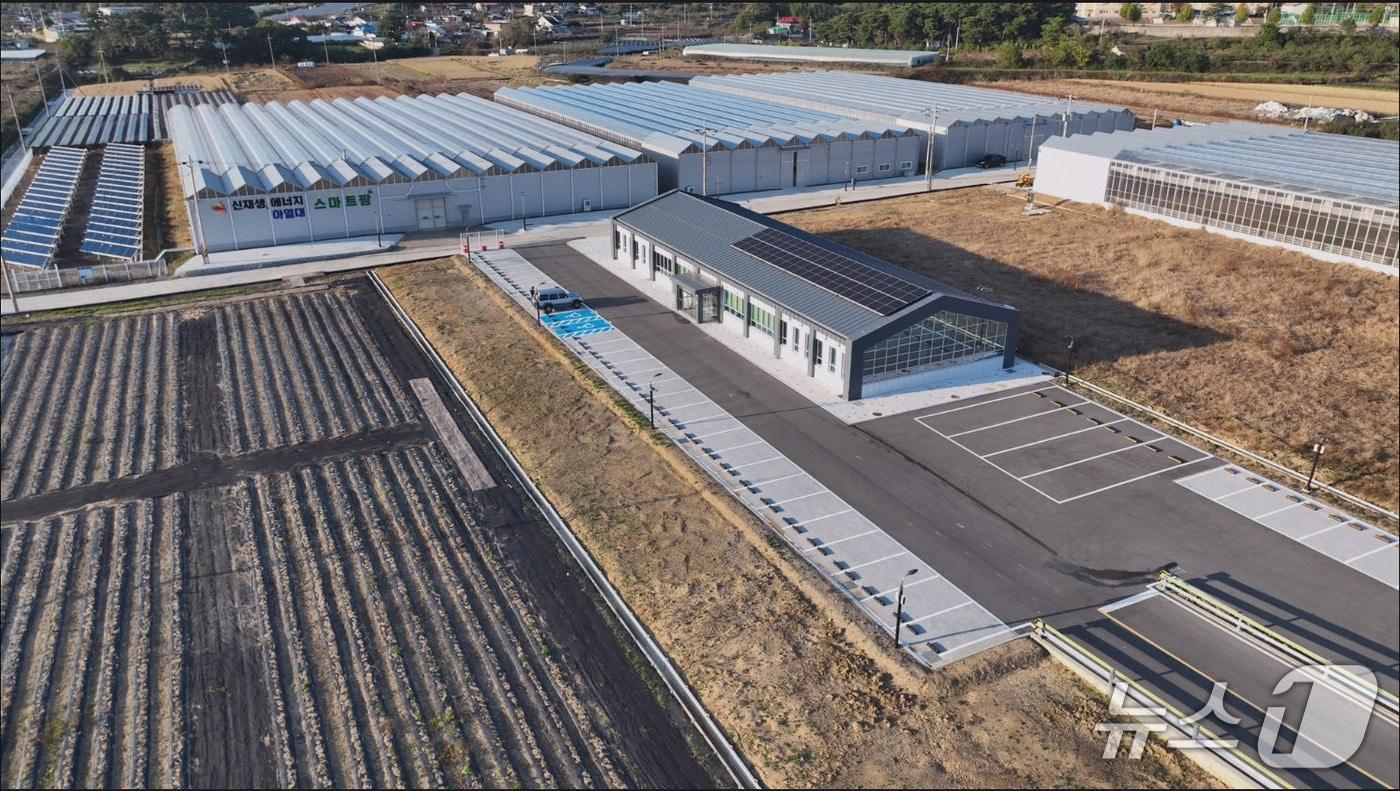 본문 이미지 - 영천시에 있는 아열대 스마트팜 모습.(영천시 제공. 재판매 및 DB금지)/뉴스1