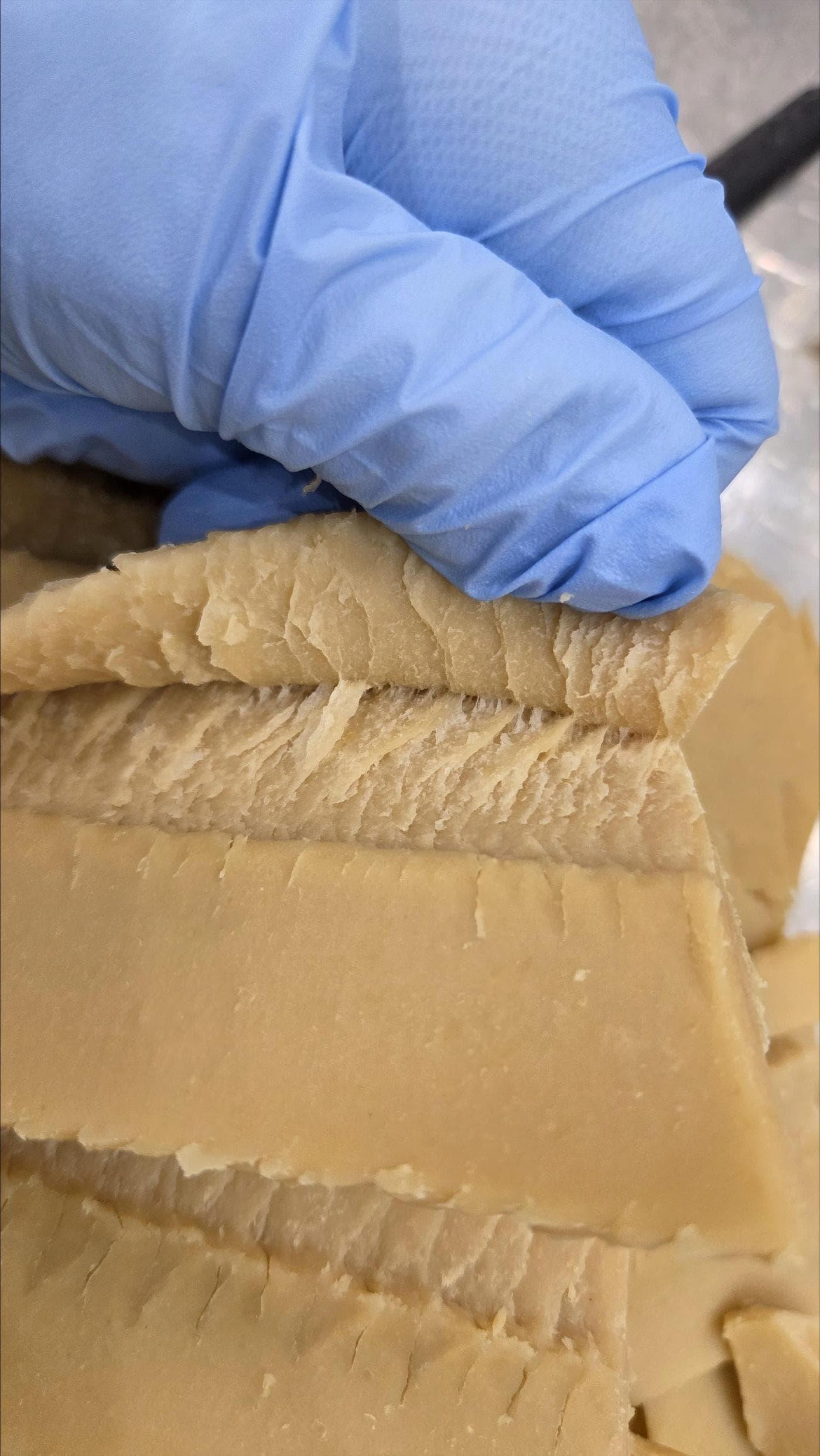 본문 이미지 - 국산 콩 활용 '글루텐-프리' 식물성 단백질 소재 (농촌진흥청 제공. 재판매 및 DB금지) 2026.1.21/뉴스1