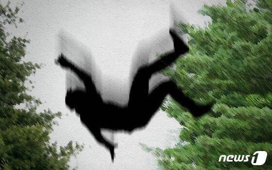 본문 이미지 - ⓒ News1 DB