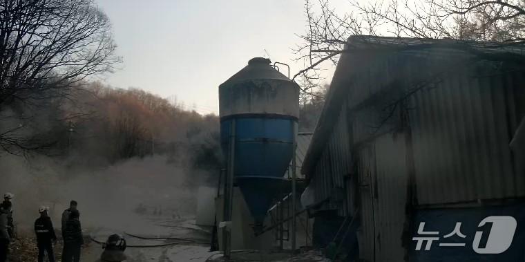 본문 이미지 - 강원 춘천 동산면의 한 양계장 화재 현장.(강원도소방본부 제공, 재판매 및 DB금지)