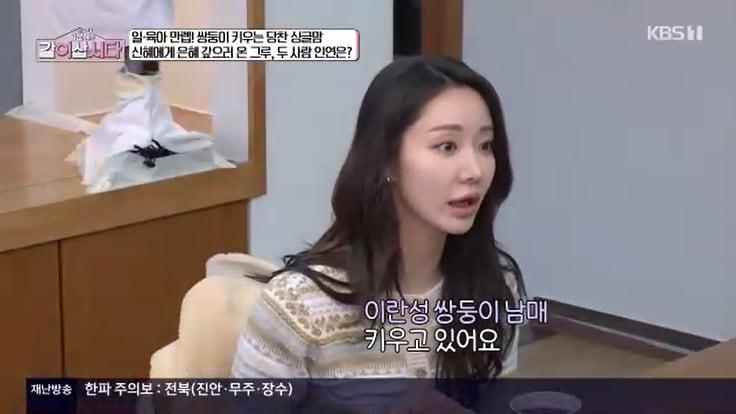 본문 이미지 - KBS 1TV '황신혜의 같이 삽시다' 캡처