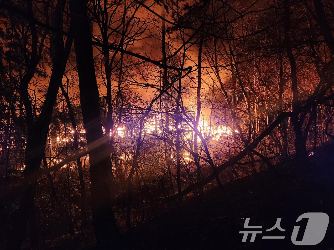 본문 이미지 - 21일 오후 부산 기장군 기장읍 청강리의 한 공장에서 불이 나 인근 야산으로 번져 산불이 확대되고 있다. (부산소방재난본부 제공. 재판매 및 DB 금지) 2026.1.21/뉴스1 ⓒ News1 윤일지 기자