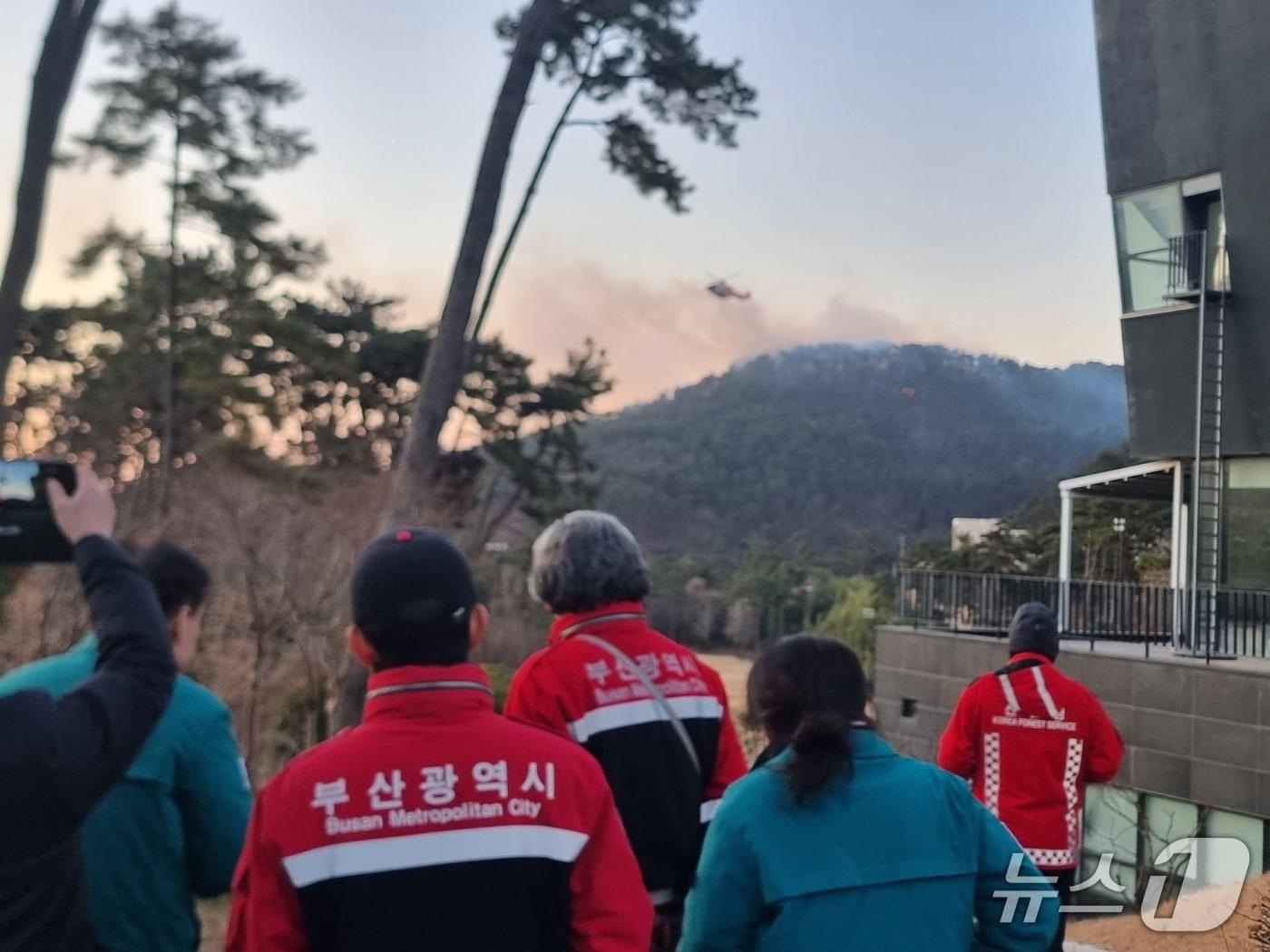 본문 이미지 - 부산시청과 기장군 직원들이 산불 진화되는 모습을 보고 있다. 2026.01.22/뉴스1 ⓒ News1 임순택 기자