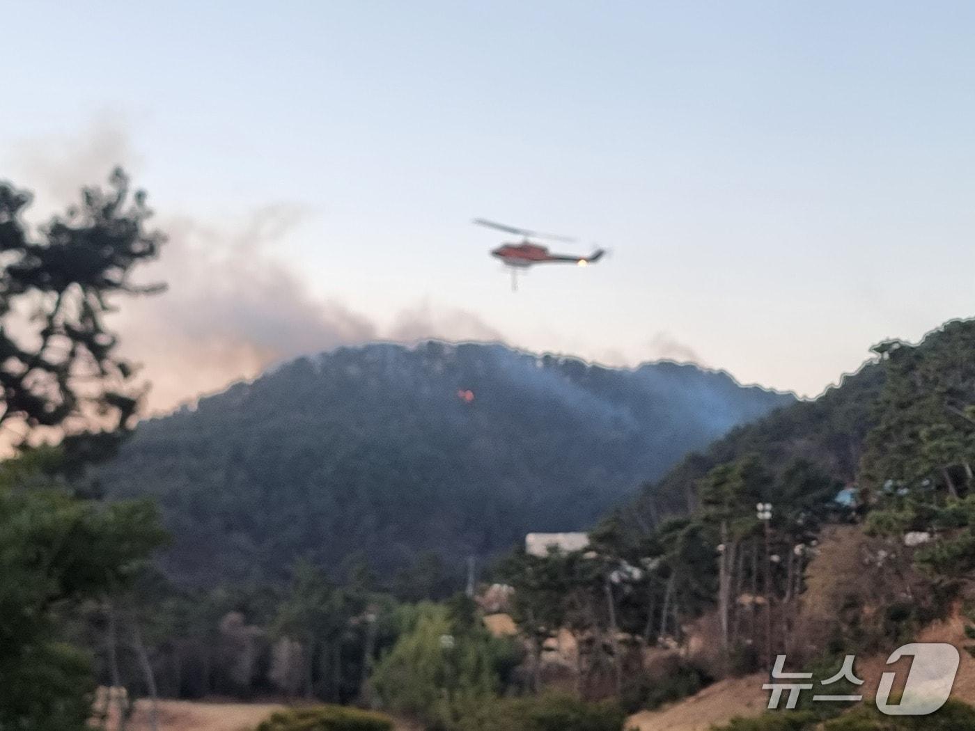 본문 이미지 - 소방, 산림 당국은 날이 밝자마자 헬기 17대와 진화 인력 375명 등 가용 자원을 총동원해 공세적인 진화를 하고 있다. 2026.01.22/뉴스1 ⓒ News1 임순택 기자