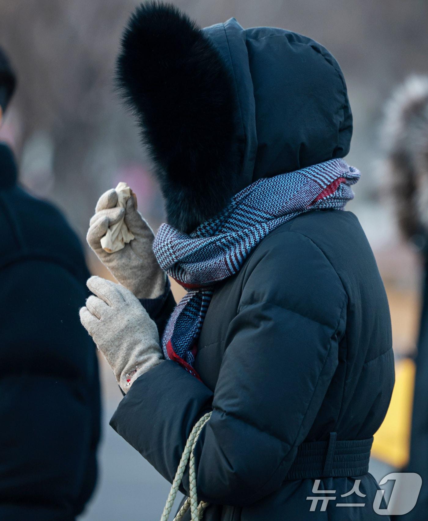 본문 이미지 - 기사 이해를 돕기 위한 자료 사진으로 기사 내용과 직접 관련 없음. ⓒ News1