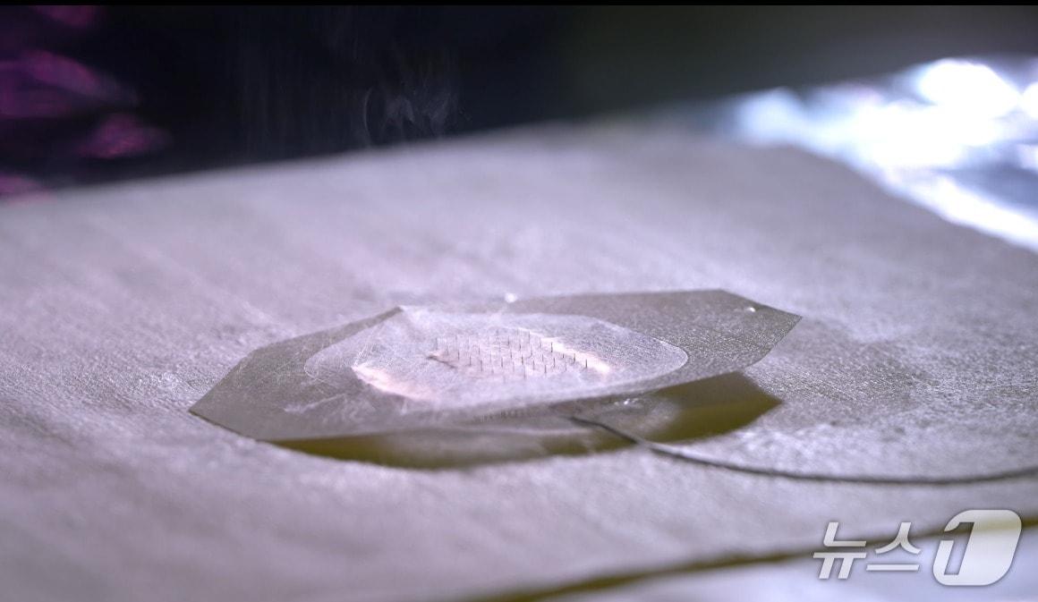 본문 이미지 - 금속 마이크로 니들 위에 벌침 모사형 유연 나노섬유 마이크로 니들을 분사하는 모습(기계연 제공) /뉴스1