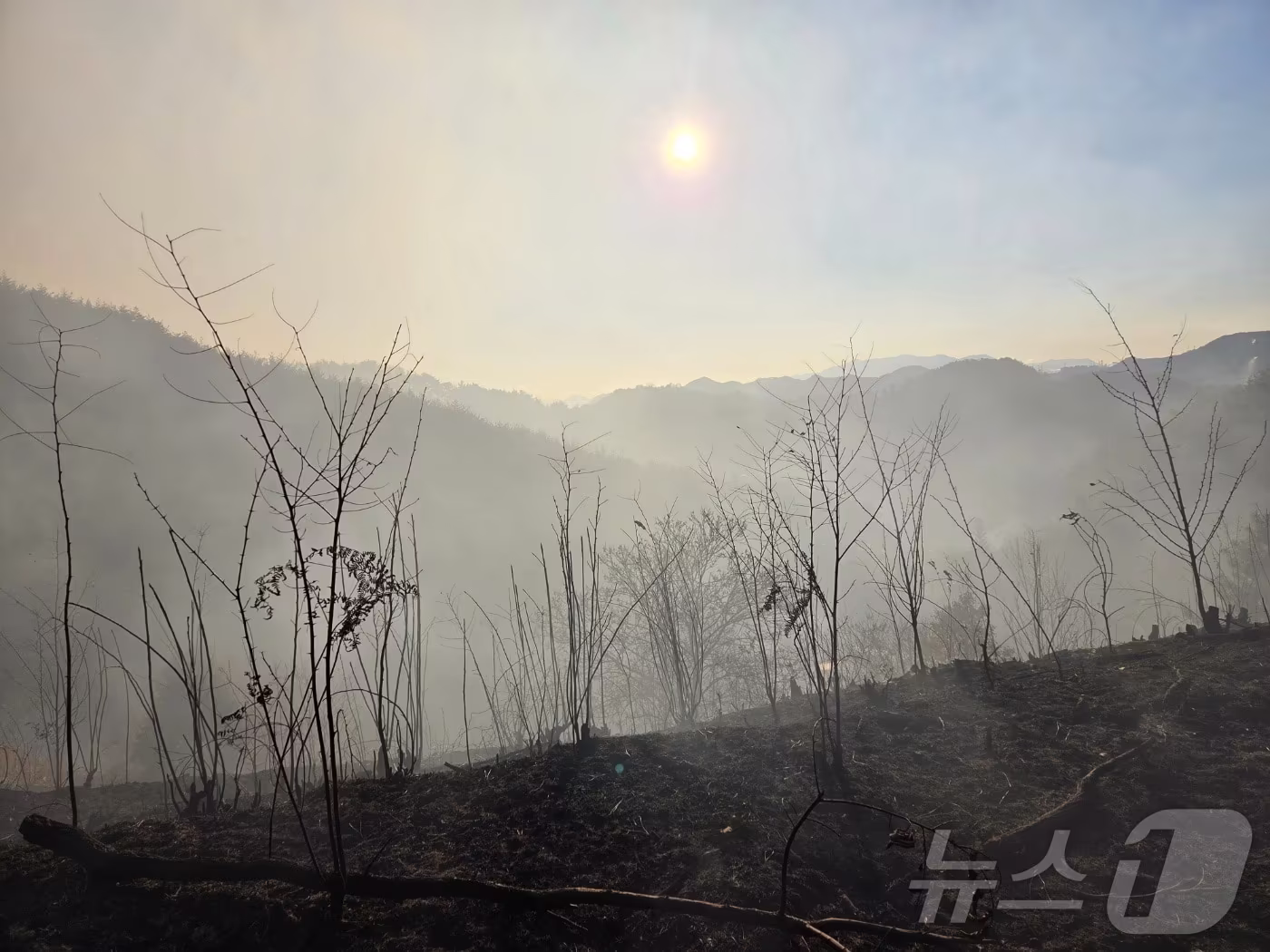 본문 이미지 - 22일 오전 10시 30분 전남 광양시 옥곡면 백운산 자락에서 발생한 산불 주불 진화가 완료됐다. 불이 꺼진 백운산 자락의 모습. (광양시 제공. 재판매 및 DB금지) 2026.1.22/뉴스1 ⓒ News1 김성준 기자
