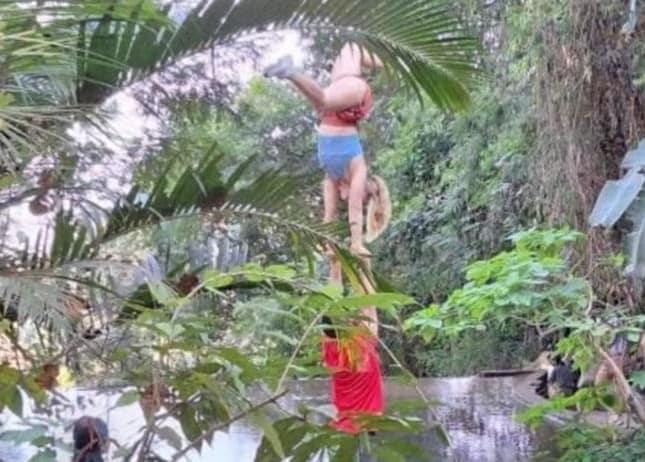 본문 이미지 - (더 타이거 갈무리)