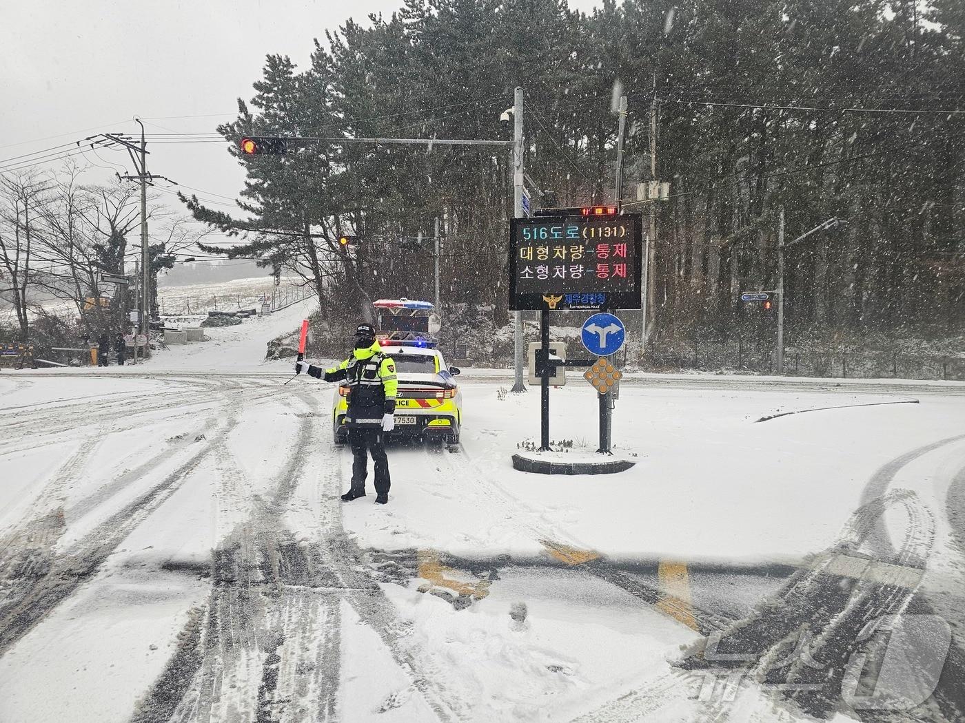 본문 이미지 - 자료사진./뉴스1