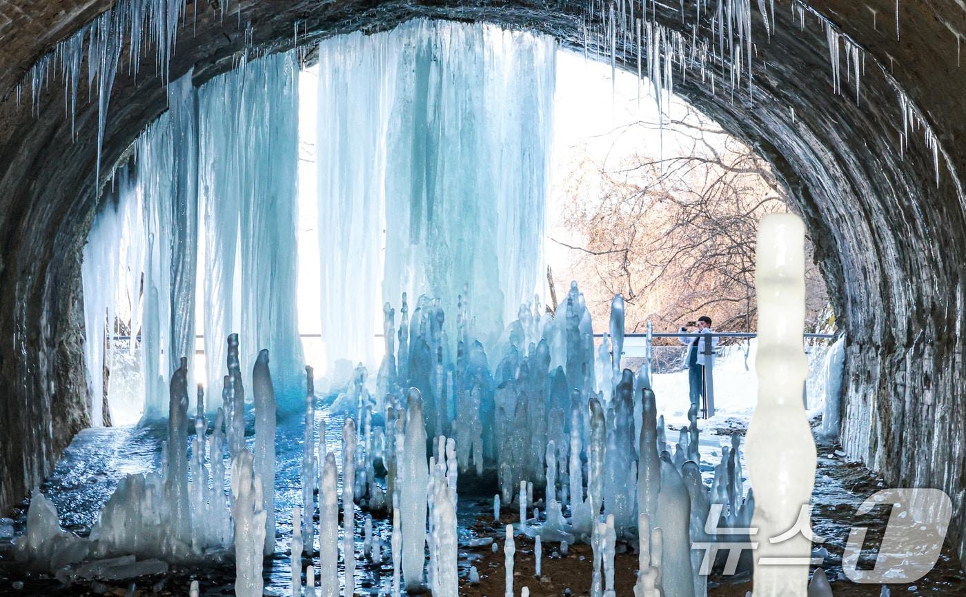 본문 이미지 - 경기 연천군 신서면 경원선 폐터널에 생성된 역고드름. /뉴스1