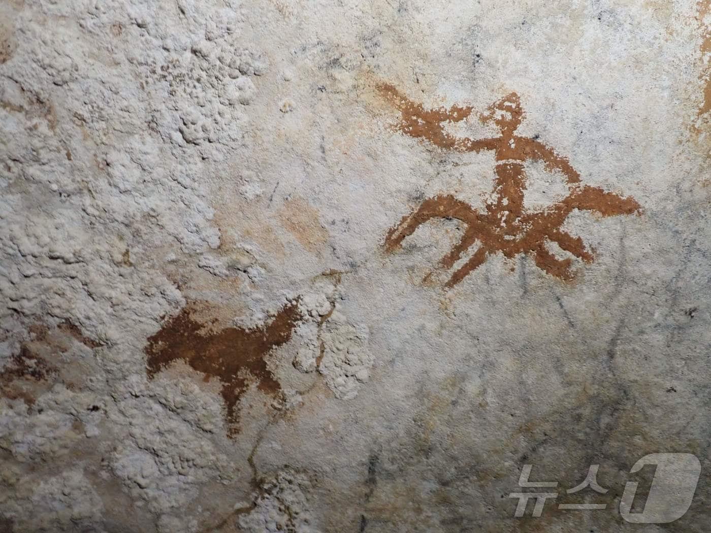 본문 이미지 - 21일(현지시간) 인도네시아 술라웨시섬의 선사시대 동굴 벽화의 모습. 그리피스대 연구진에 따르면 이 벽화는 약 6만 7800년 전의 것으로 세계에서 가장 오래된 암각화다. 2026.01.21. ⓒ AFP=뉴스1 ⓒ News1 윤다정 기자