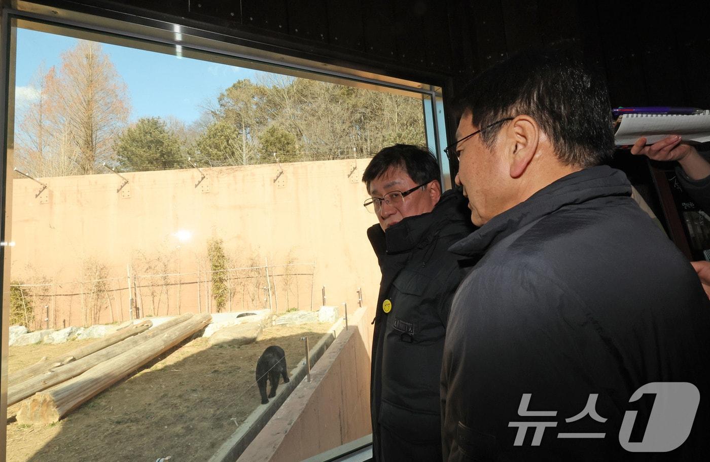 본문 이미지 - 광주 북구 생용동 우치공원 동물원에서 김성환 기후에너지환경부 장관이 강기정 시장에게 판다 수용 여건에 대한 설명을 들으며 곰을 바라보고 있다. 2026.1.22 ⓒ 뉴스1 박지현 기자