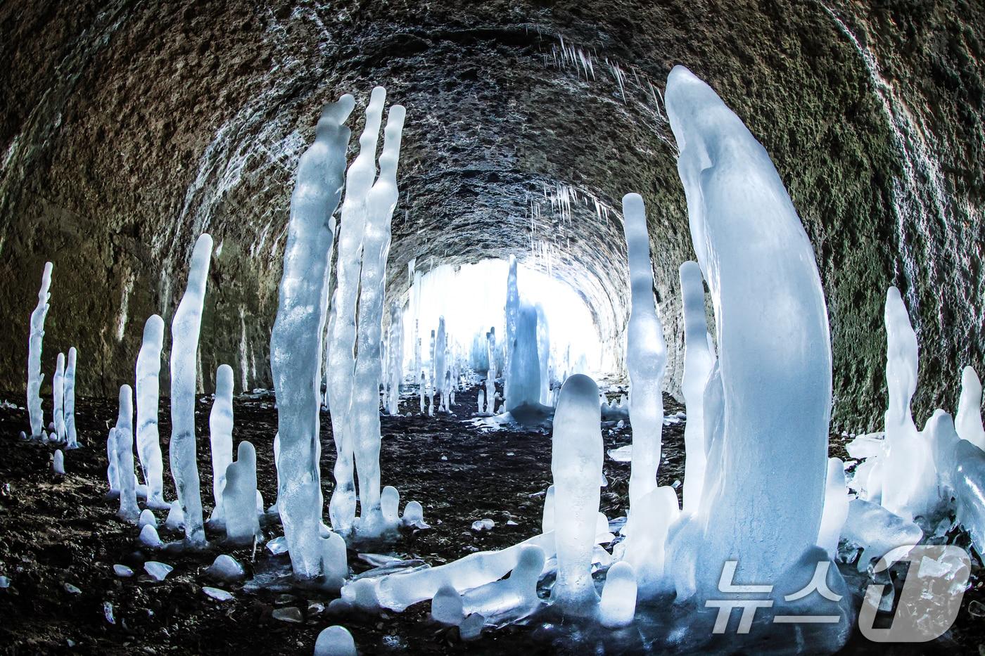 본문 이미지 - 연일 영하권의 매서운 한파가 이어진 22일 경기 연천군 신서면 경원선 폐터널에 역고드름이 솟아올라 장관을 펼치고 있다. 2026.1.22/뉴스1 ⓒ News1 이호윤 기자