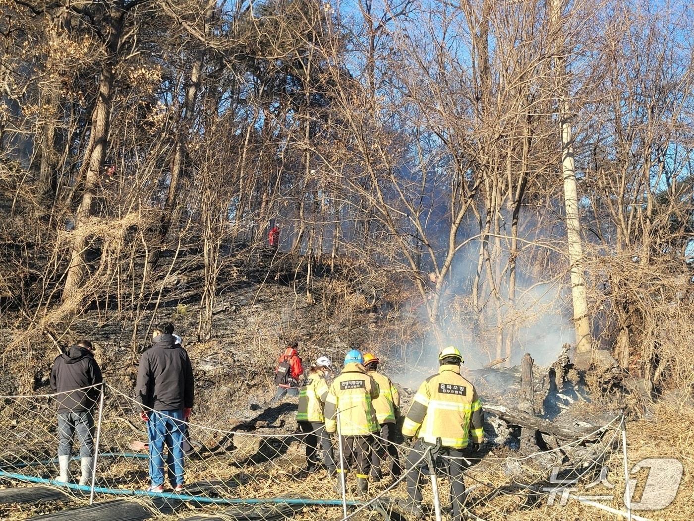 본문 이미지 -  충주 살미면 산불 현장.(충주소방서 제공. 재판매 및 DB금지)/뉴스1