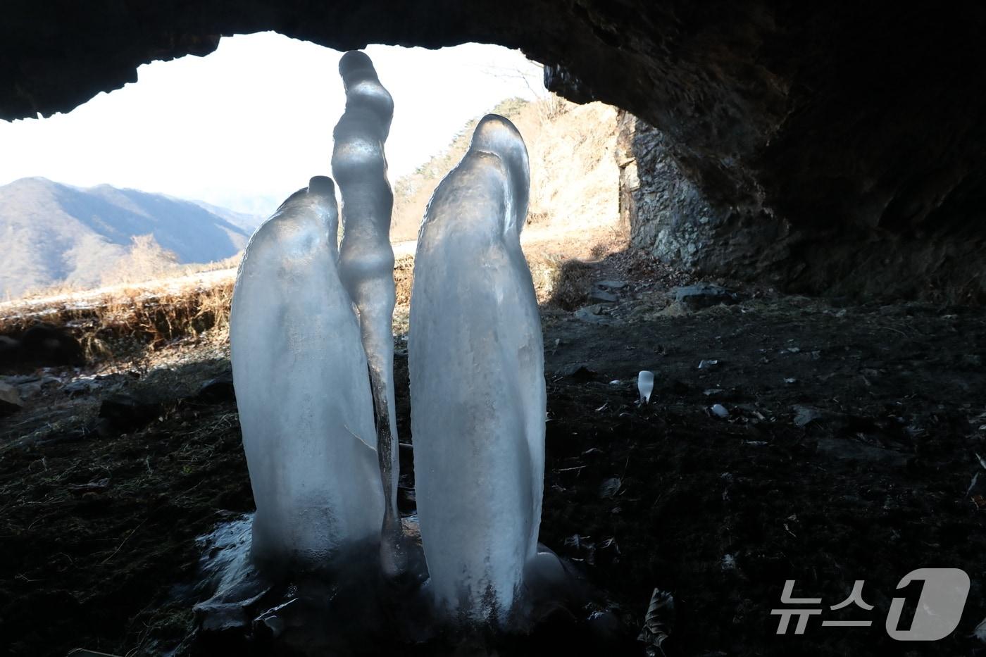 본문 이미지 - 충북 제천시 덕산면 수산리 보덕암 인근 보덕굴 '거꾸로 자라는 고드름'. 2026.1.22 ⓒNews1 /뉴스1 손도언 기자  